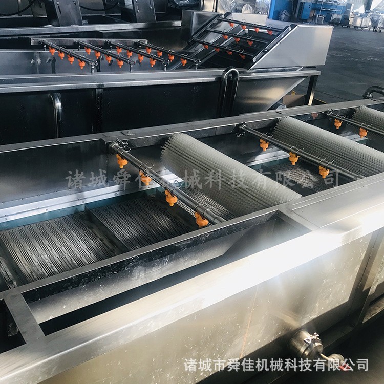 苦菜清洗全套设备 蔬菜根茎类毛辊清洗机 甘蔗高压喷淋清洗机图4