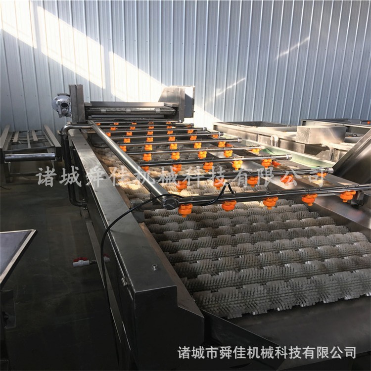 苦菜清洗全套设备 蔬菜根茎类毛辊清洗机 甘蔗高压喷淋清洗机图2