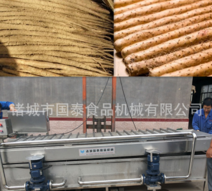 麻山药毛辊水洗机 铁杆山药清洗机 山药清洗机子 山药水洗机图4