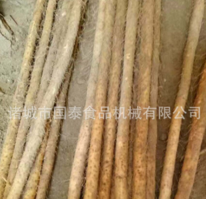 蠡县麻山药蔬菜清洗机 铁杆山药清洗机 山药清洗设备 毛辊清洗机图2