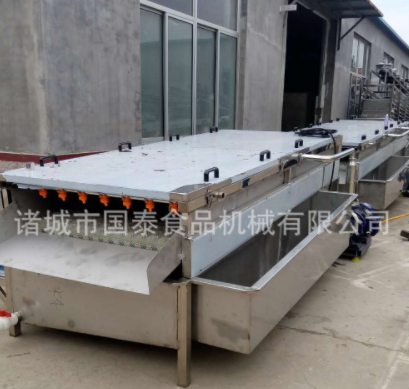 蠡县麻山药蔬菜清洗机 铁杆山药清洗机 山药清洗设备 毛辊清洗机图5