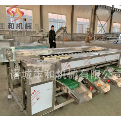 供应食品大小分选设备 小龙虾分级机 红薯分级机 萝卜土豆分级机