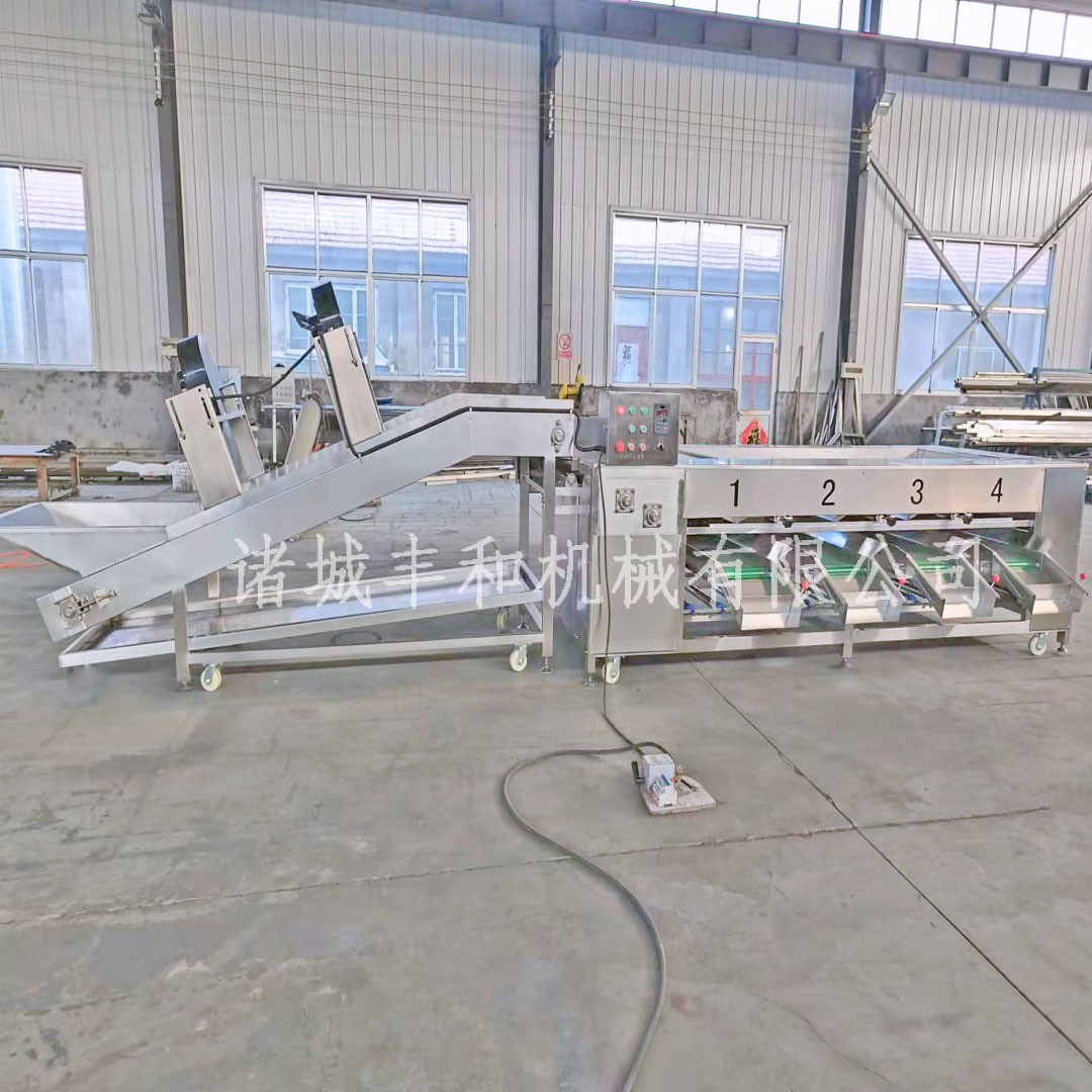 供应食品大小分选设备 小龙虾分级机 红薯分级机 萝卜土豆分级机图4