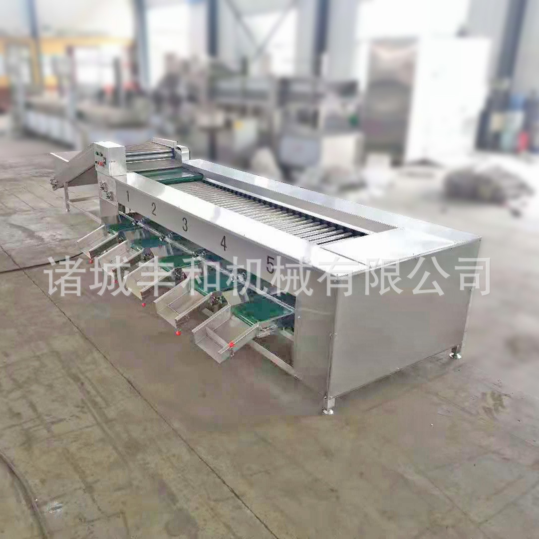 供应食品大小分选设备 小龙虾分级机 红薯分级机 萝卜土豆分级机图2