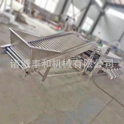 果蔬选果机厂家 金桔青橘分级机 百香果分级机 石榴荔枝分级机
