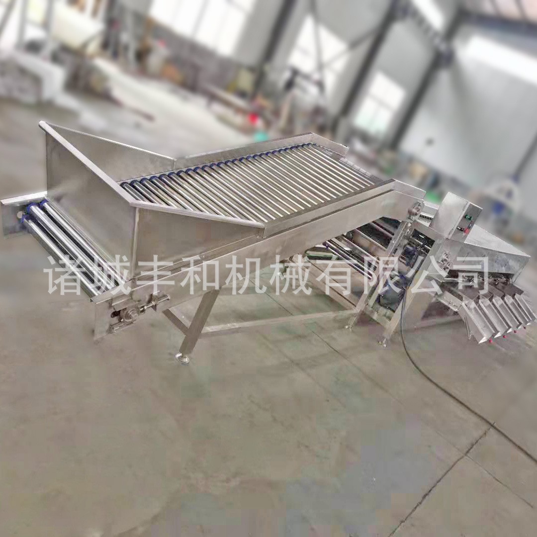 果蔬选果机厂家 金桔青橘分级机 百香果分级机 石榴荔枝分级机图2