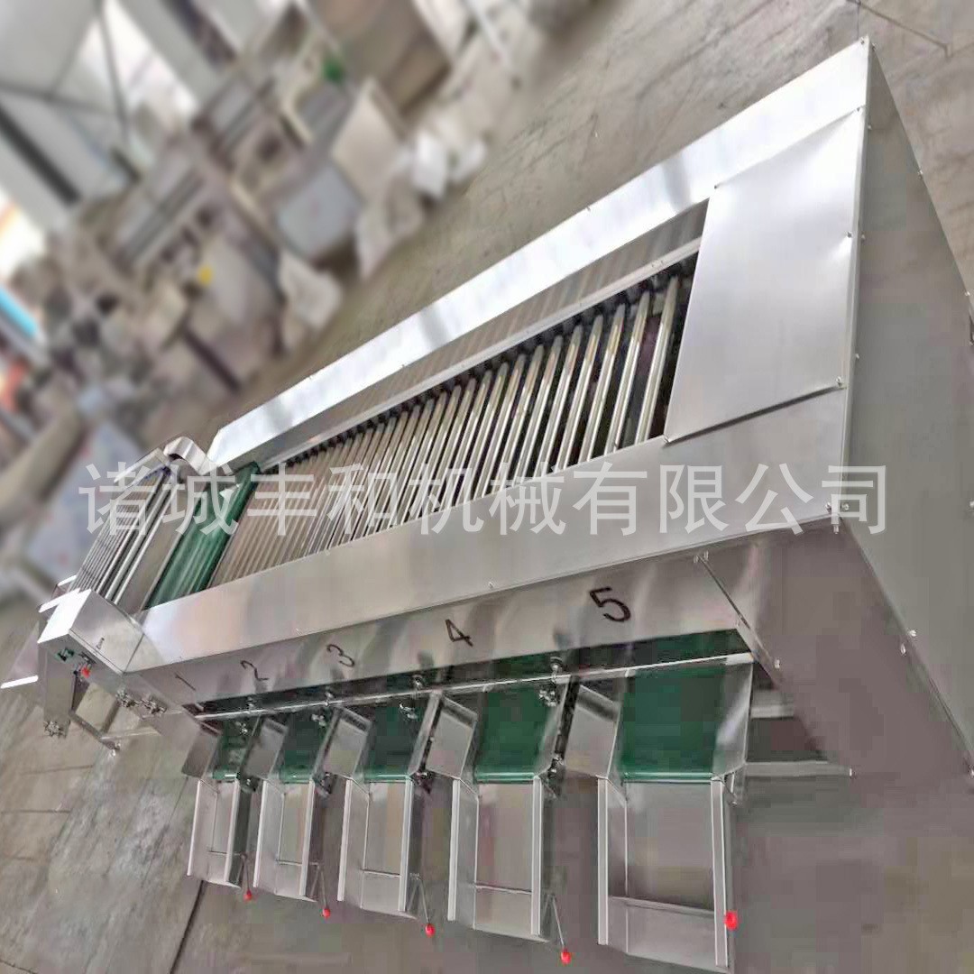 果蔬选果机厂家 金桔青橘分级机 百香果分级机 石榴荔枝分级机图4