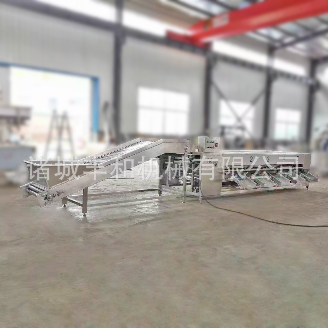 果蔬滚杠式选果机 百香果分级机 荔枝圣女果分级机 金桔分级机图3