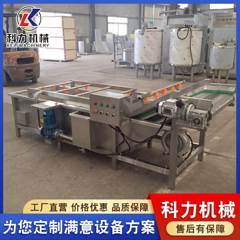 毛豆气泡果蔬清洗机 多功能酸菜脱盐清洗机 辣椒喷淋清洗机器图2