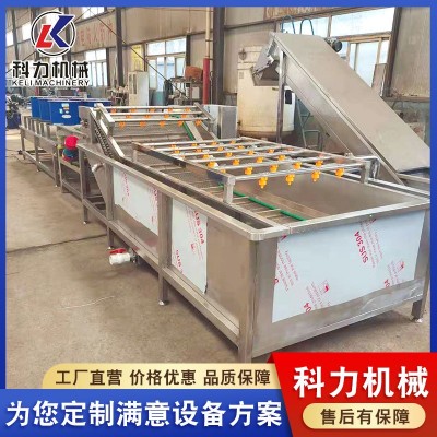 毛豆气泡果蔬清洗机 多功能酸菜脱盐清洗机 辣椒喷淋清洗机器
