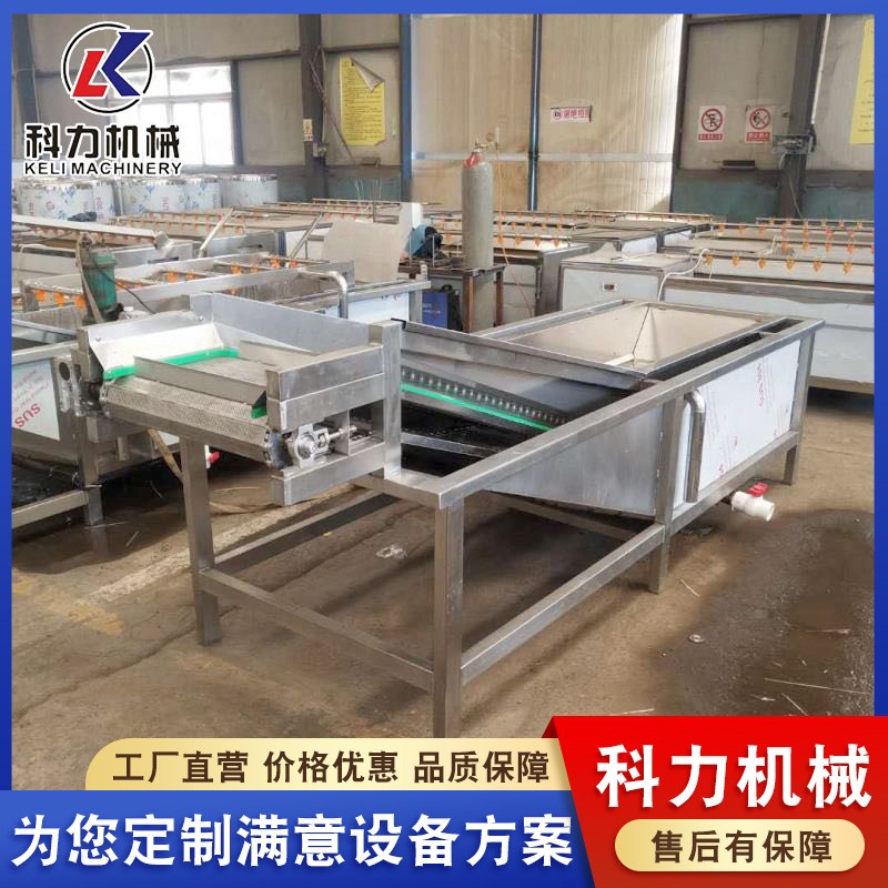 毛豆气泡果蔬清洗机 多功能酸菜脱盐清洗机 辣椒喷淋清洗机器图3