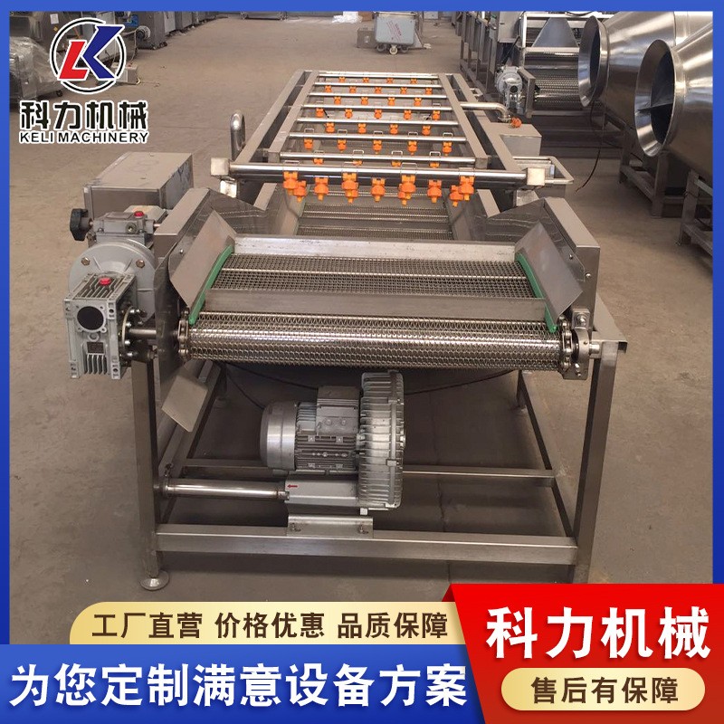 气泡清洗机自动洗鱼机 鱼类自动清洗设备 不锈钢气泡清洗线图5