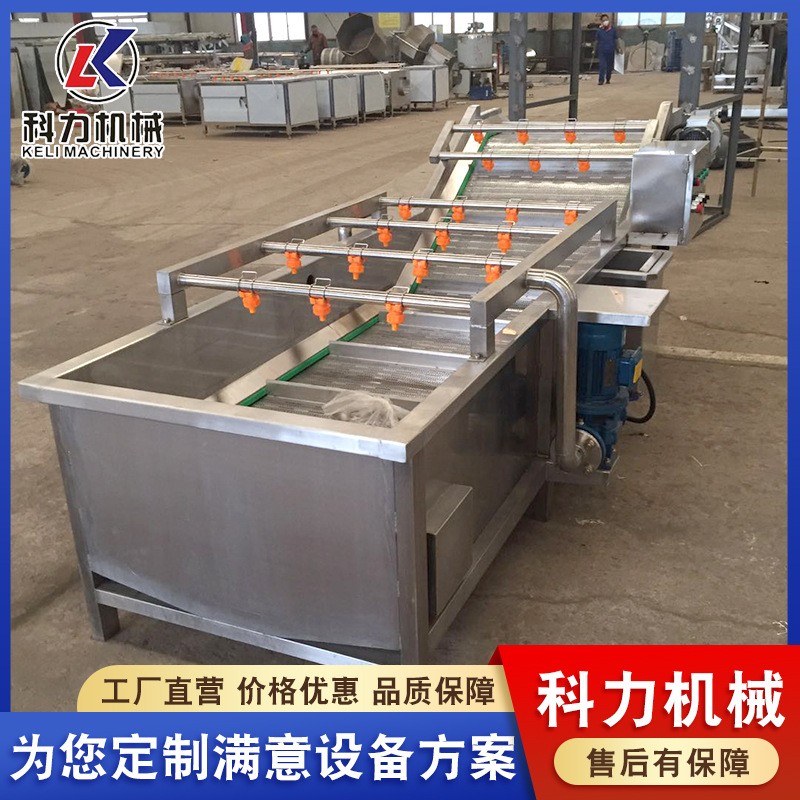 气泡清洗机自动洗鱼机 鱼类自动清洗设备 不锈钢气泡清洗线图2