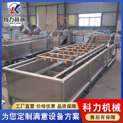 气泡清洗机自动洗鱼机 鱼类自动清洗设备 不锈钢气泡清洗线