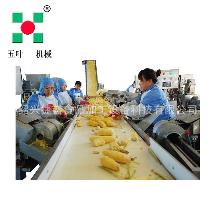 玉米粒加工生产线 鲜玉米扒皮脱粒漂烫速冻线 玉米粒流态速冻机g图2