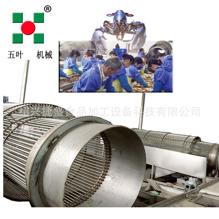 定制优质小龙虾加工设备 潜江龙虾清洗机 速冻虾尾生产流水线wp图3