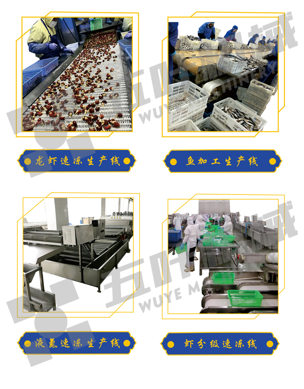 水产生产线水印6.jpg
