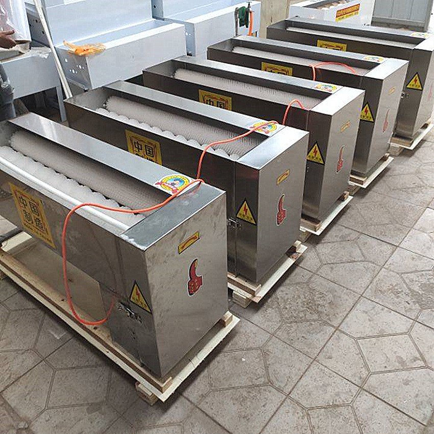 鸡蛋咸鸭蛋鹅蛋清洗机 咸鸭蛋去泥机洗蛋机 小型蛋品清洗洗蛋机图2