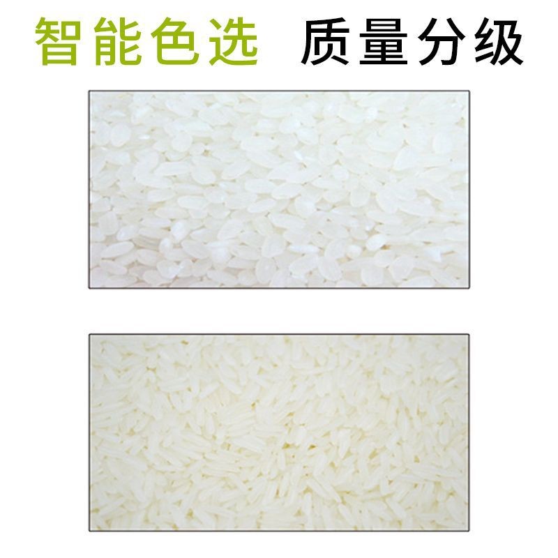 比达BDM5-320 CCD智能黑米色选机 高效多产 行业精品 运行稳定]图4