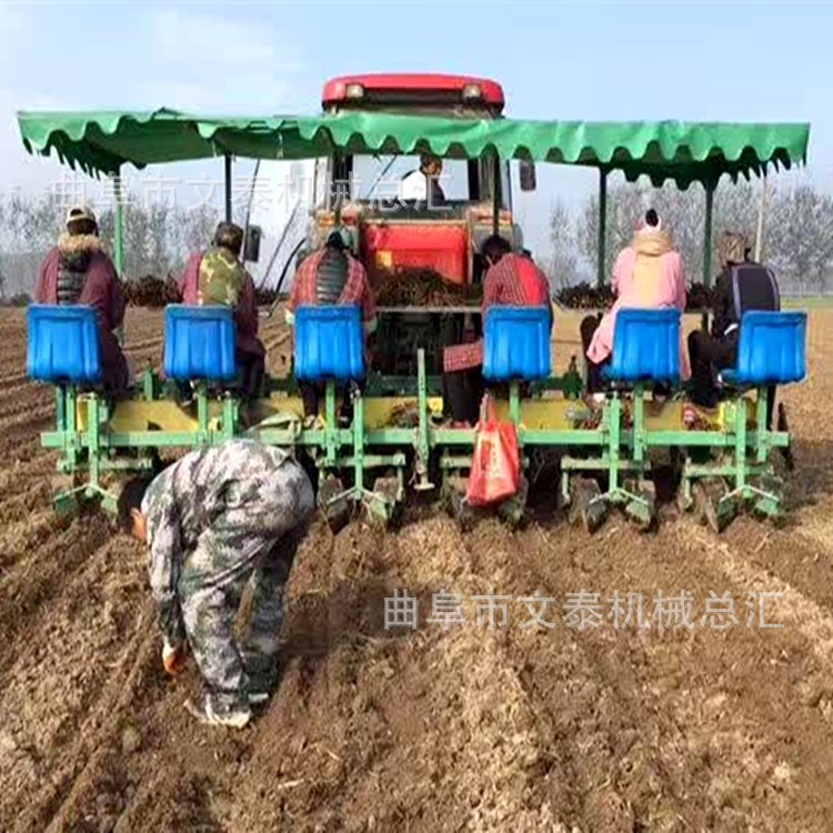 红薯苗插秧机 厂家直销蔬菜插秧机 自走式药材花卉移苗机图5