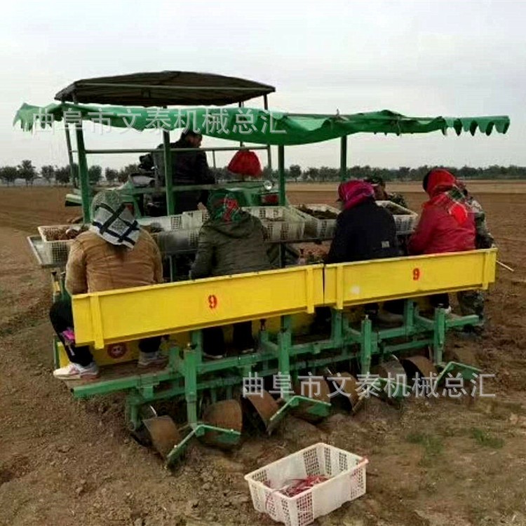 红薯苗插秧机 厂家直销蔬菜插秧机 自走式药材花卉移苗机图2