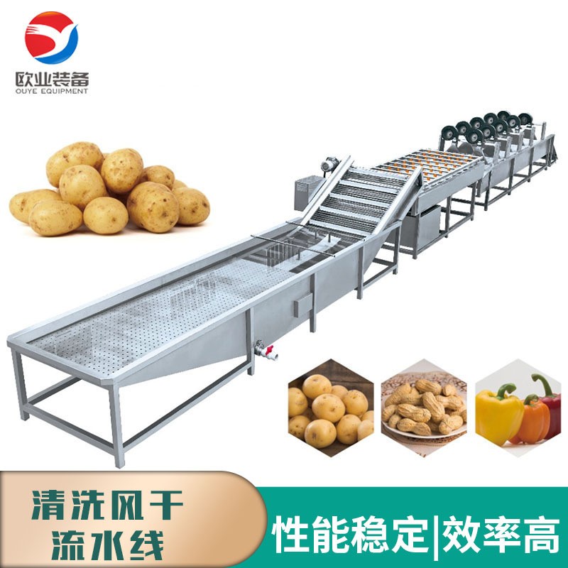 诸城大型全自动洗姜机 多功能气泡清洗机 终生售后 大姜清洗机图2