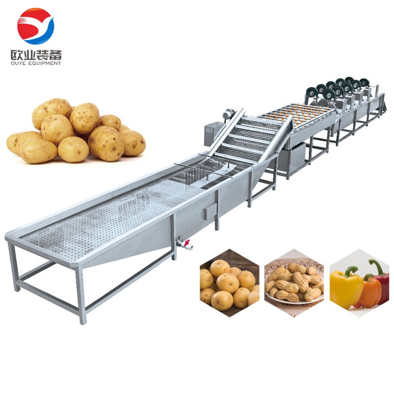 诸城大型全自动洗姜机 多功能气泡清洗机 终生售后 大姜清洗机图4