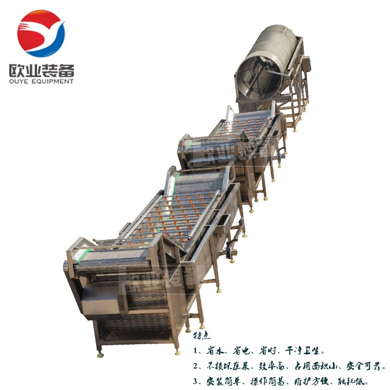 诸城大型全自动洗姜机 多功能气泡清洗机 终生售后 大姜清洗机图5