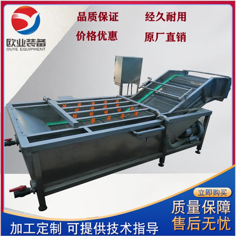 花生大豆气泡清洗机 蔬菜清洗机设备 净菜果蔬清洗机图2