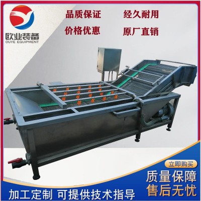 花生大豆气泡清洗机 蔬菜清洗机设备 净菜果蔬清洗机