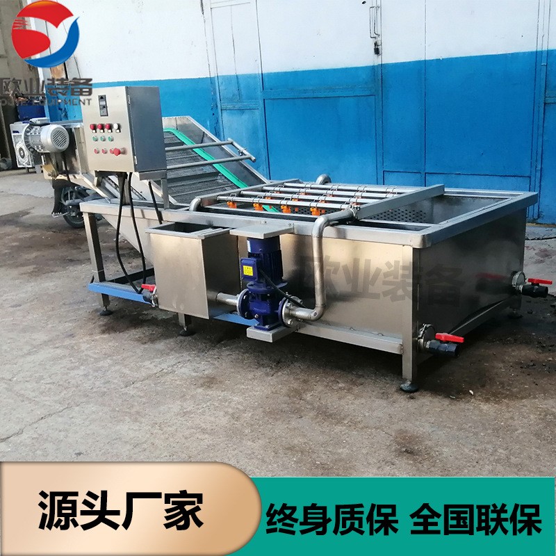 花生大豆气泡清洗机 蔬菜清洗机设备 净菜果蔬清洗机图4