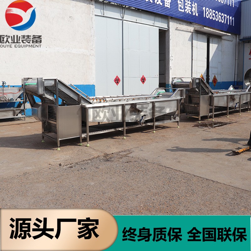 花生大豆气泡清洗机 蔬菜清洗机设备 净菜果蔬清洗机图3