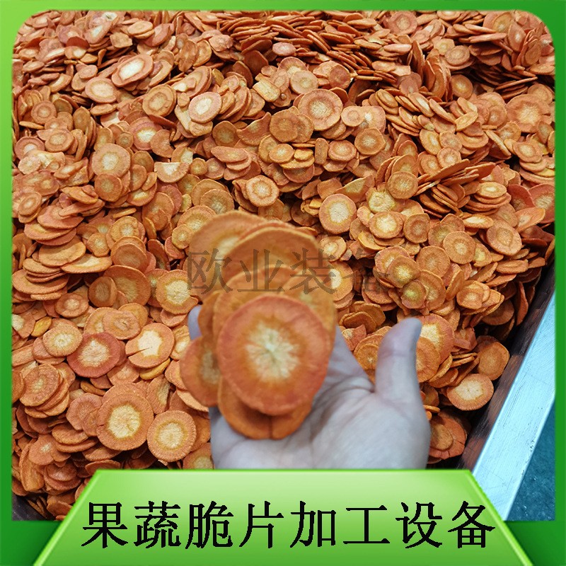 油炸果蔬脆片机器 低温真空油炸机 小型 大型都可定做 厂家直供图3