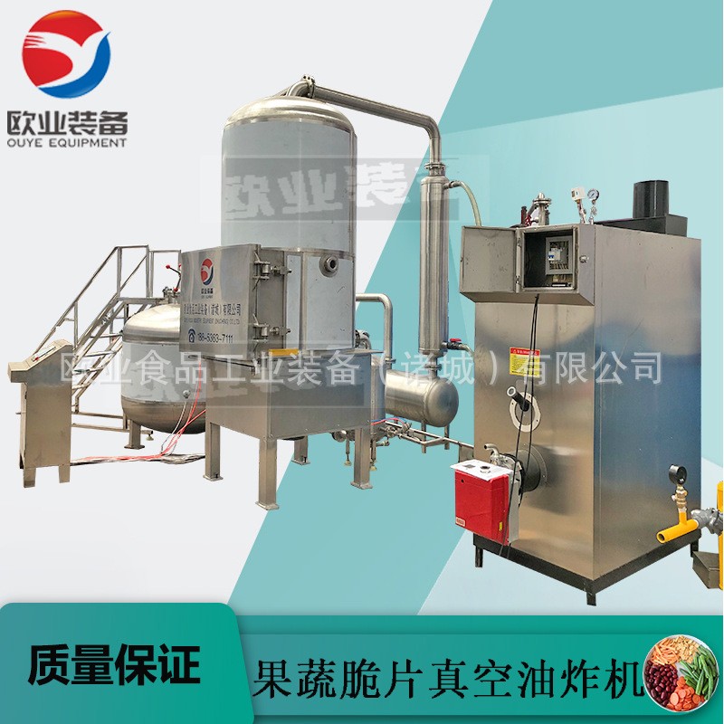 油炸果蔬脆片机器 低温真空油炸机 小型 大型都可定做 厂家直供图2