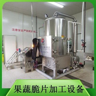 新型休闲食品加工设备 农村致富创业项目 蔬菜干脱水果蔬脆片加工