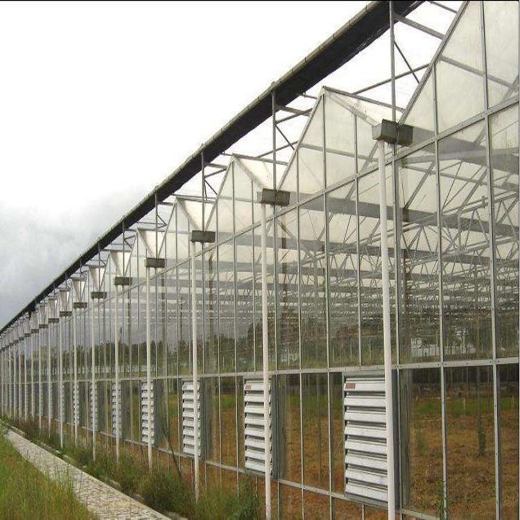 畜牧风机 温室风机1380重锤式负压风机 工业厂房通风换气降温设备图5