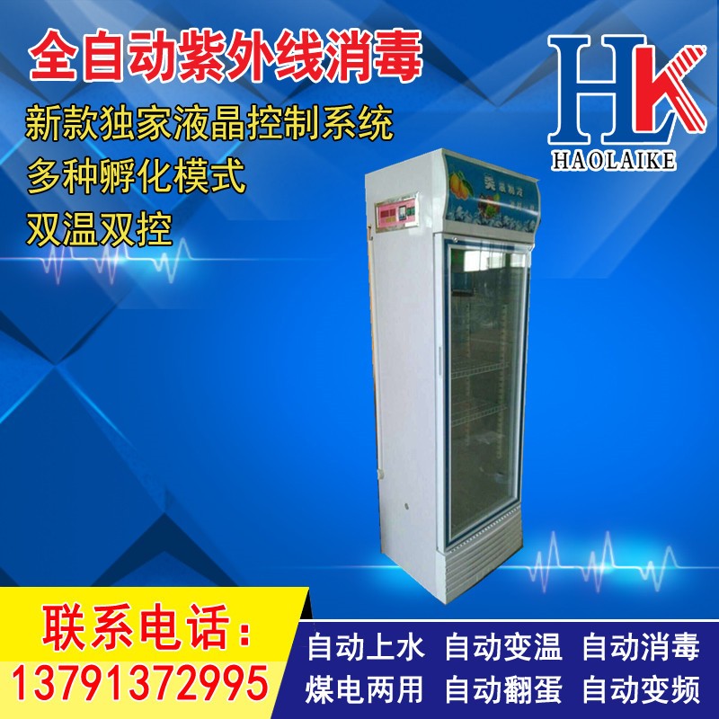 厂家批发乌龟孵蛋器 爬行动物孵化箱自动孵化机 爬虫孵化器