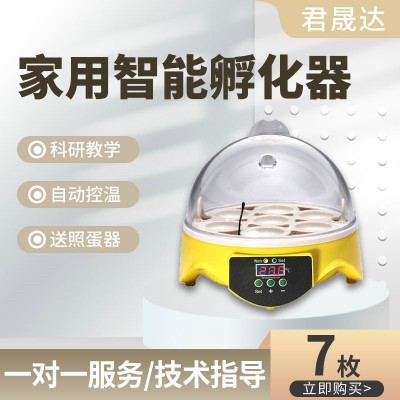 7枚迷你小鸡孵化养殖孵蛋器 小型家用鸟类鸡蛋孵化器智能孵化机