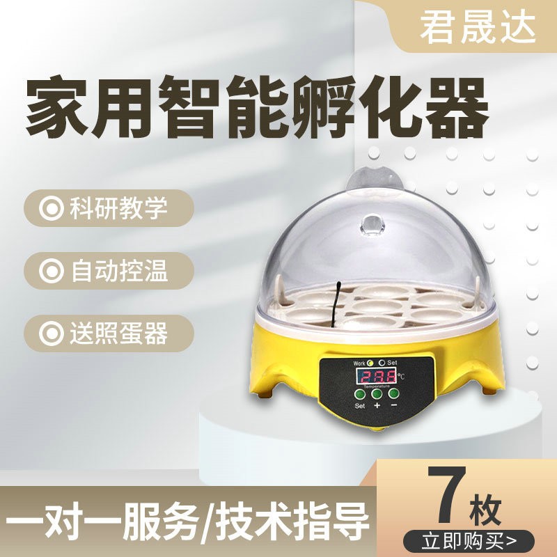 7枚迷你小鸡孵化养殖孵蛋器 小型家用鸟类鸡蛋孵化器智能孵化机图2