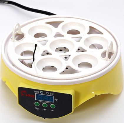 7枚迷你小鸡孵化养殖孵蛋器 小型家用鸟类鸡蛋孵化器智能孵化机图4