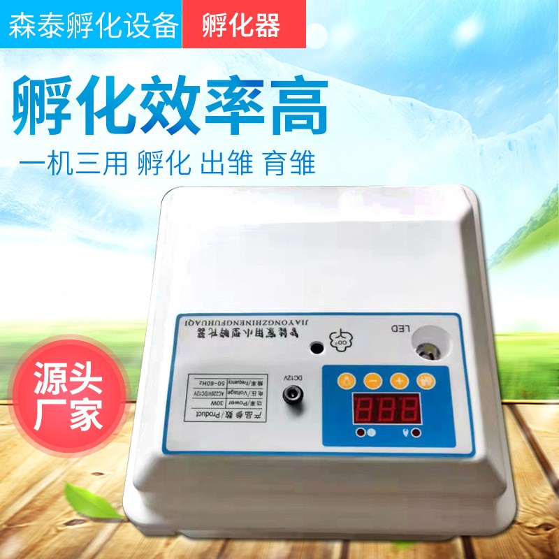 批发孵化机 小型全自动智能家用迷你孵蛋器鸡鸭鹅鸽子incubator图4