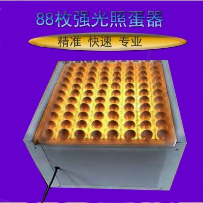 88枚照蛋箱孵化机专用吹风机式照蛋器迷你畜牧冷光照蛋灯整盘照蛋