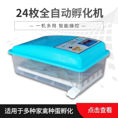 厂家代发24枚自动迷你孵化机智能家用小型孵化设备egg incubator