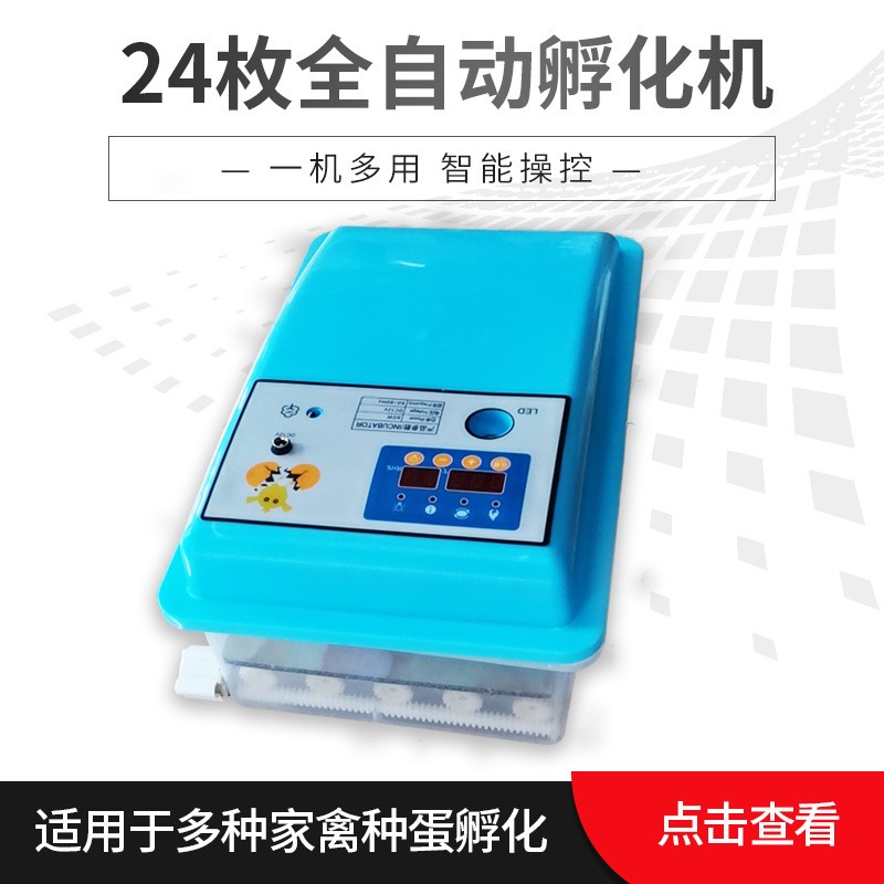 厂家代发24枚自动迷你孵化机智能家用小型孵化设备egg incubator图2