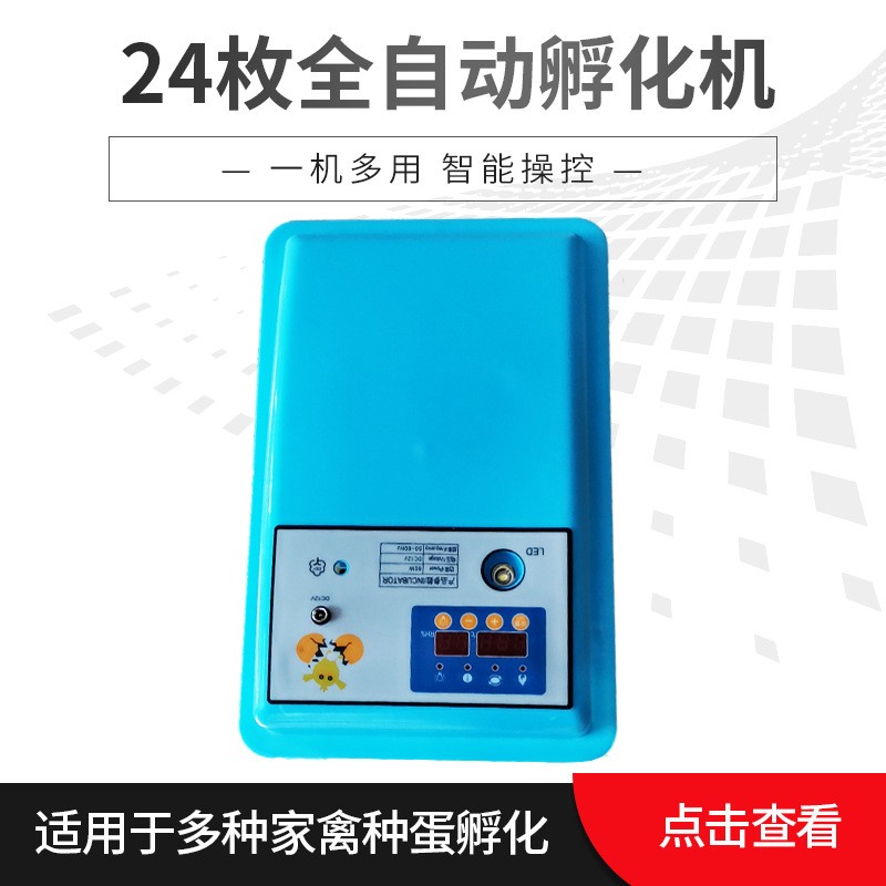 厂家代发24枚自动迷你孵化机智能家用小型孵化设备egg incubator图4