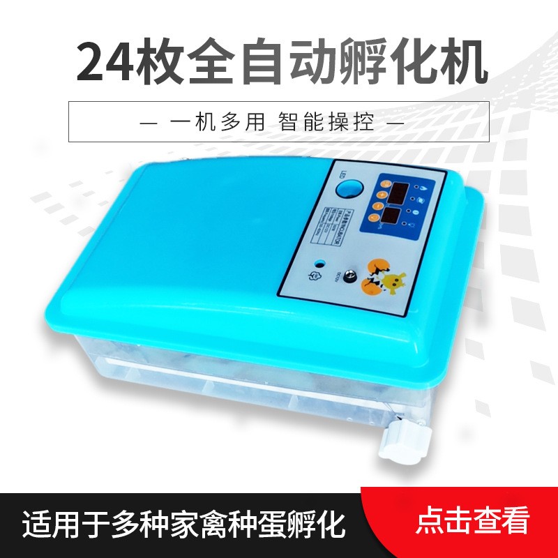 厂家代发24枚自动迷你孵化机智能家用小型孵化设备egg incubator图3