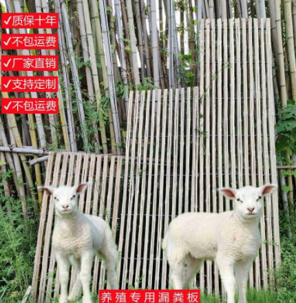 竹制羊床漏粪板养殖设备鸡鸭鹅棚竹排竹架架子竹篱笆竹板