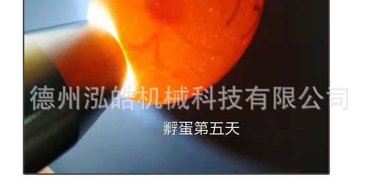 孵多多照蛋器详情_02.jpg