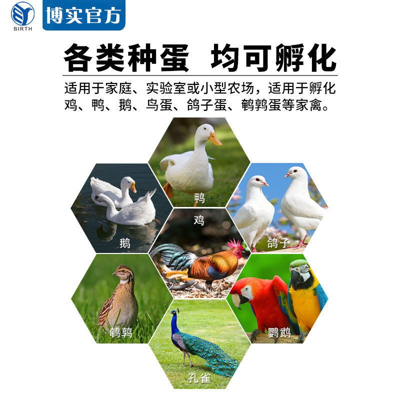 定制智能家用型自动孵蛋器 鸡蛋孵化器 鸭 鹅 鸽 鹌鹑 山鸡孵卵器图2