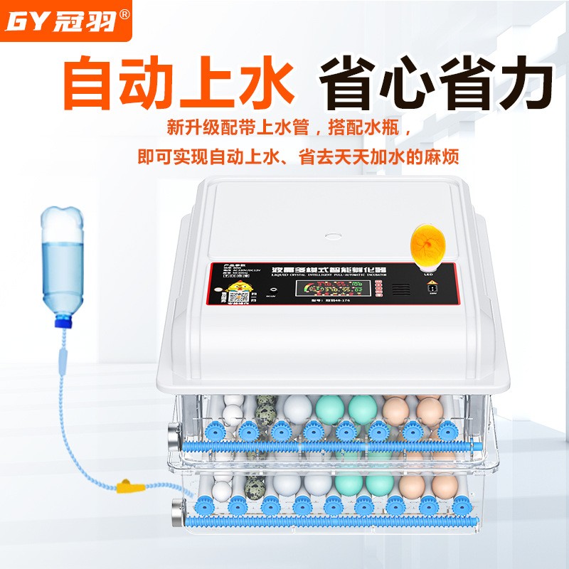 小鸡迷你家用孵化机全自动小型孵化器智能孵化箱鸽子孵蛋器孵蛋机图2